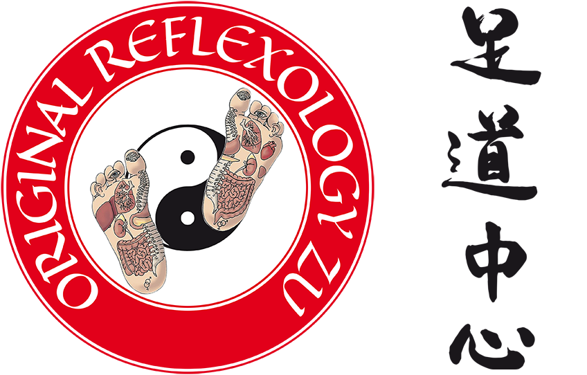 logo scuola ZU e ideogrammi
